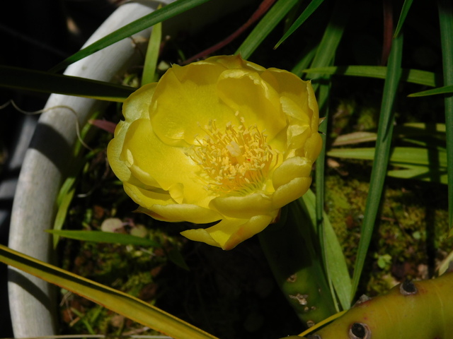 DSCN5464.JPG