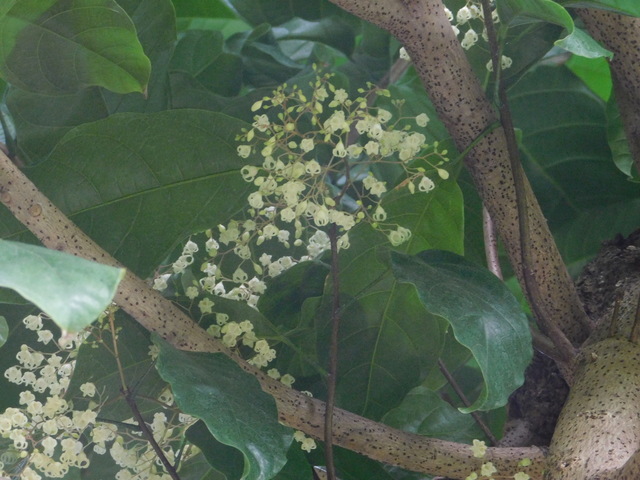 DSCN5465.JPG