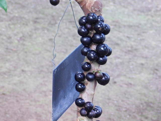 DSCN5467.JPG