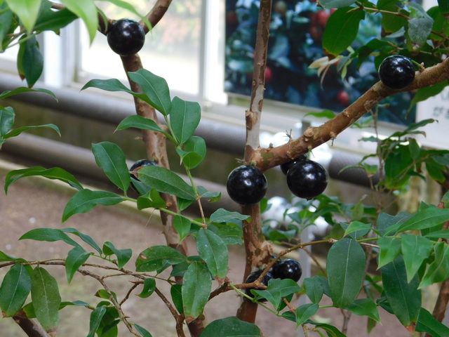DSCN5469.JPG