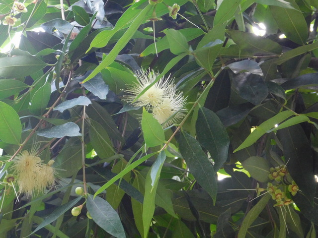 DSCN5471.JPG