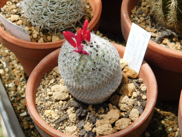 DSCN5475.JPG