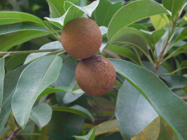 DSCN5477.JPG