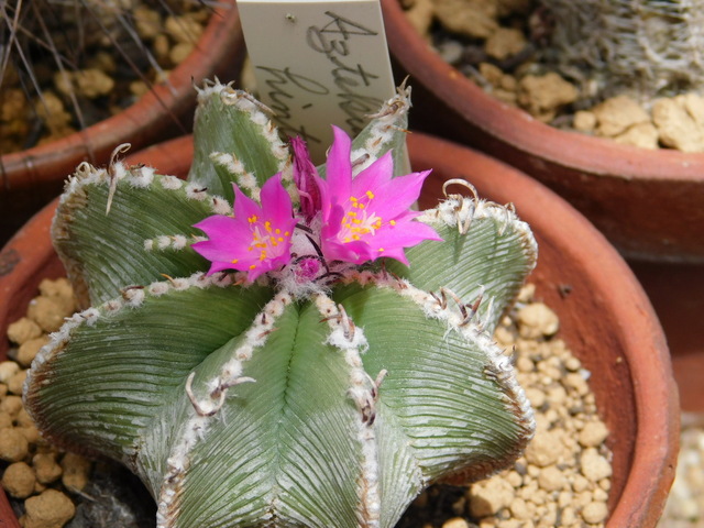 DSCN5480.JPG