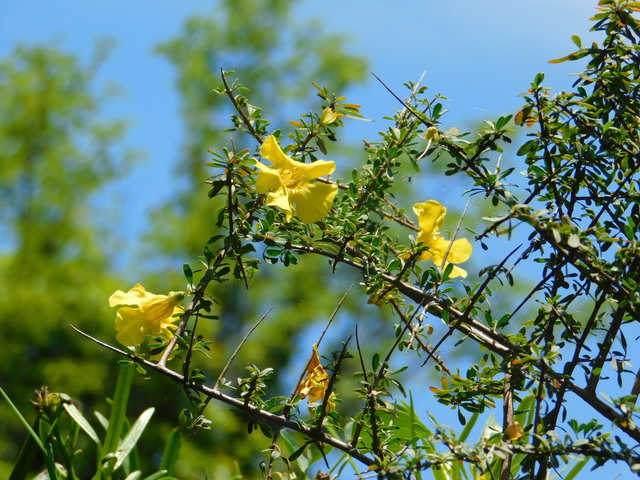 DSCN5488.JPG