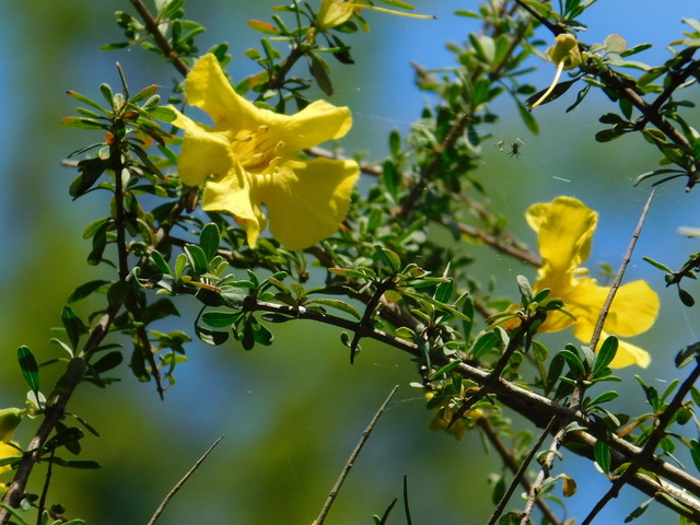 DSCN5489.JPG