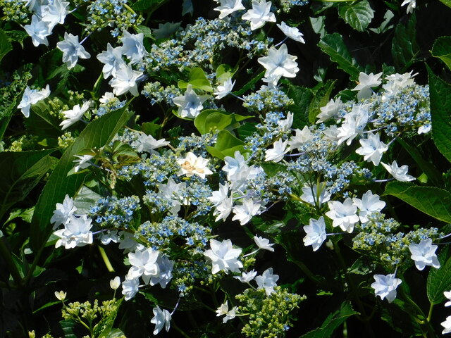 DSCN5494.JPG