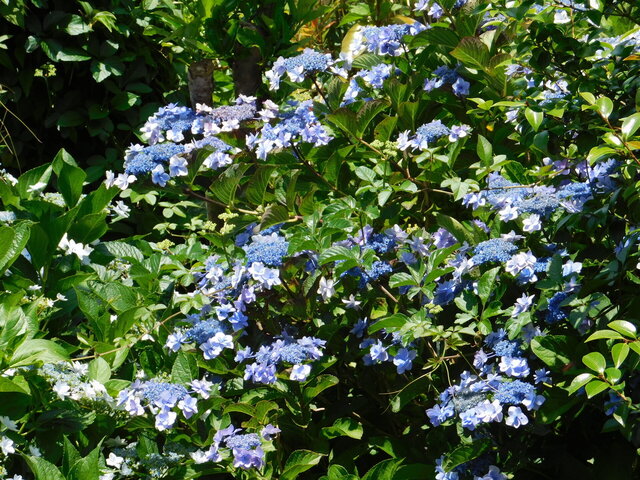 DSCN5496.JPG