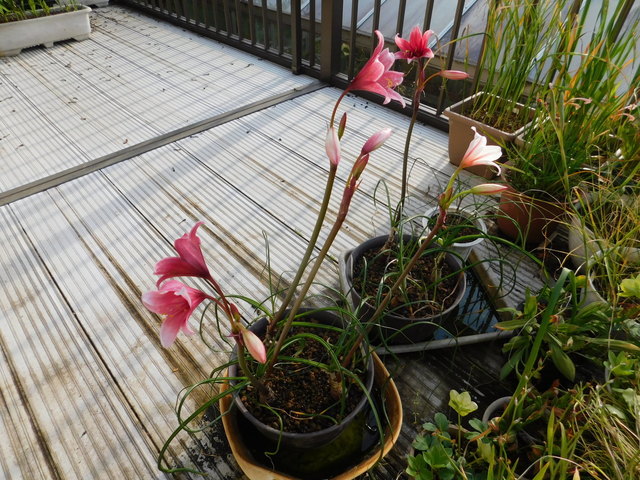 DSCN5526.JPG