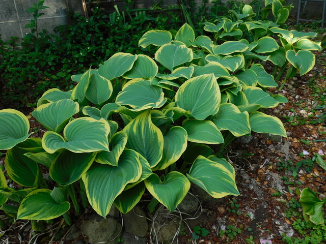 DSCN5539.JPG