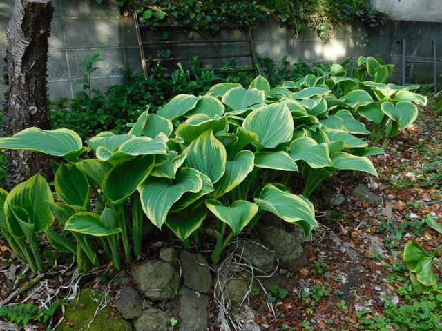 DSCN5541.JPG