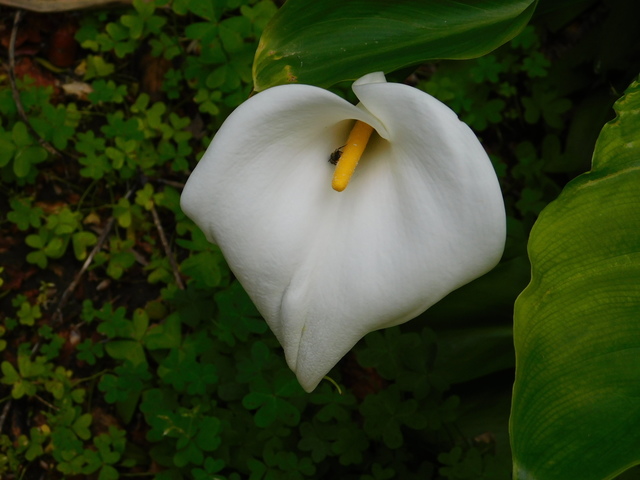 DSCN5545.JPG