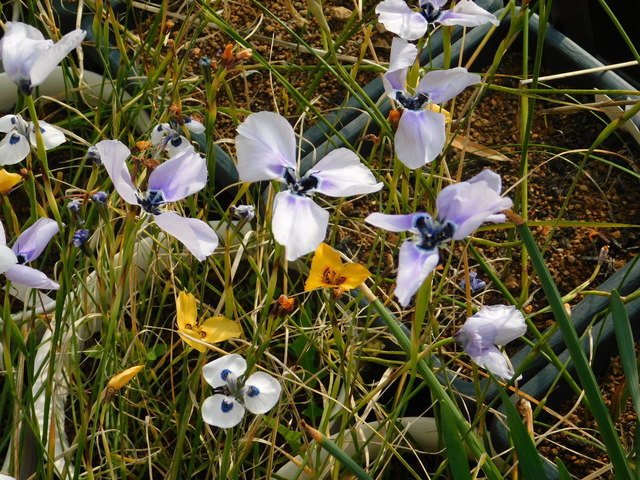 DSCN5548.JPG