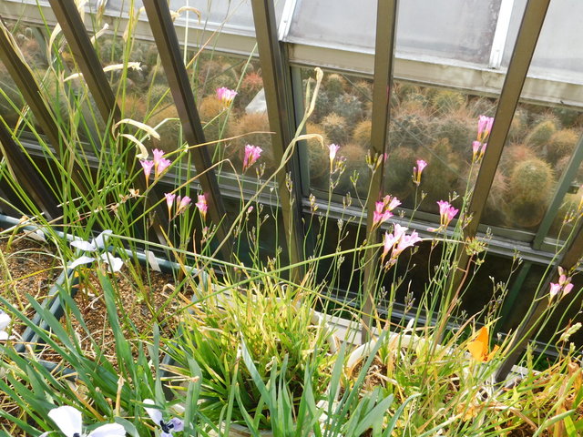 DSCN5552.JPG