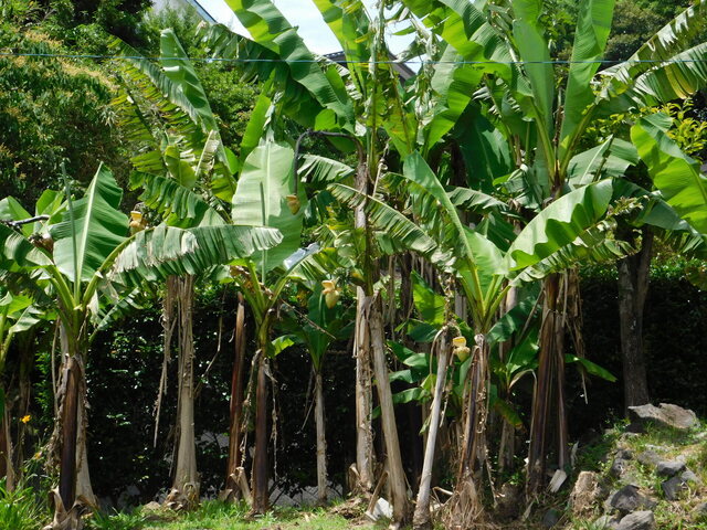 DSCN5553.JPG
