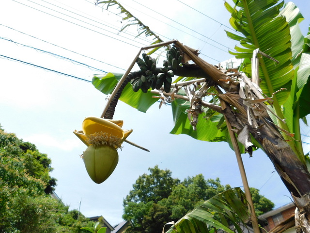 DSCN5555.JPG