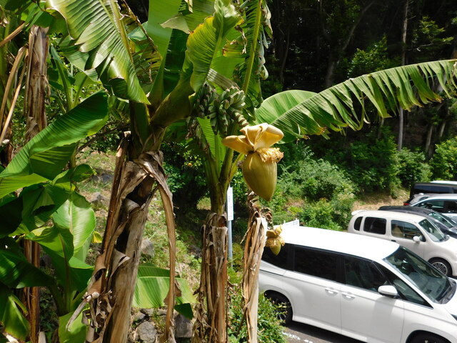 DSCN5557.JPG