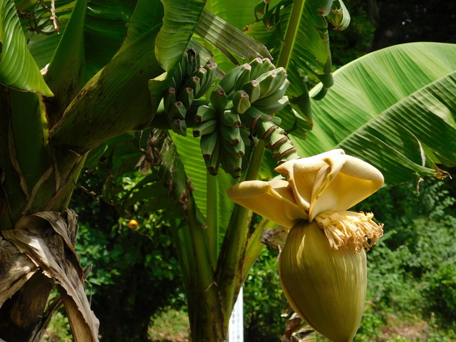 DSCN5559.JPG