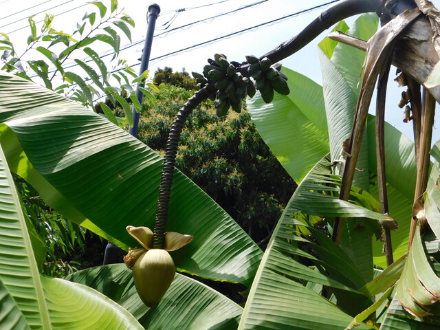 DSCN5561.JPG