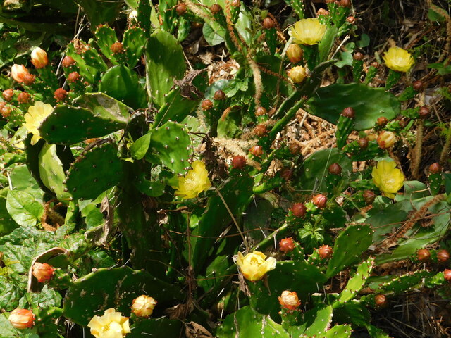 DSCN5562.JPG