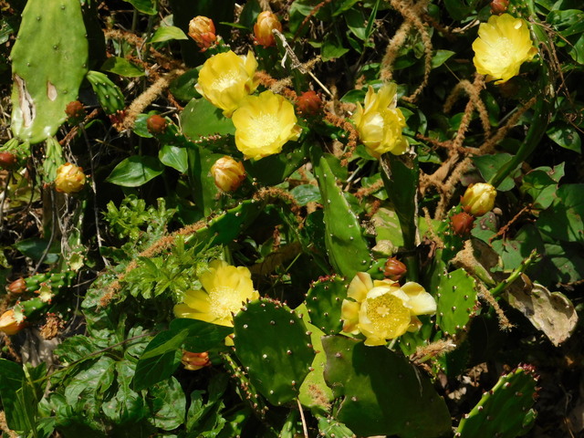 DSCN5564.JPG