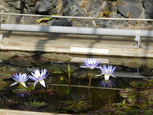 DSCN5565.JPG