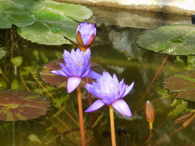 DSCN5567.JPG