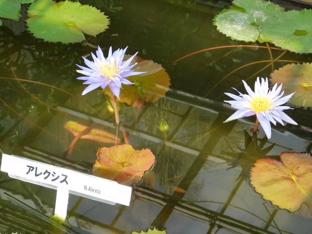 DSCN5568.JPG