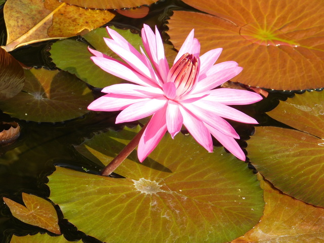 DSCN5571.JPG