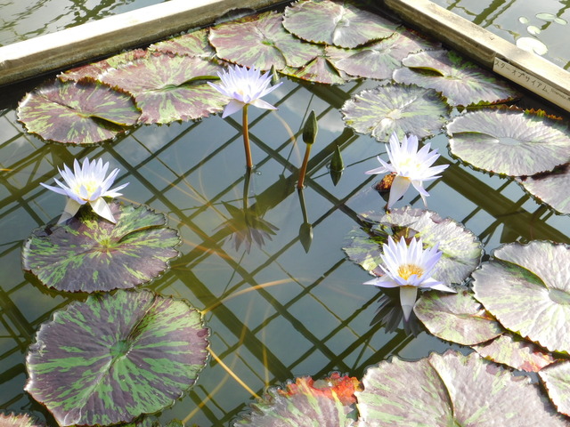 DSCN5573.JPG