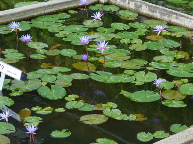 DSCN5577.JPG