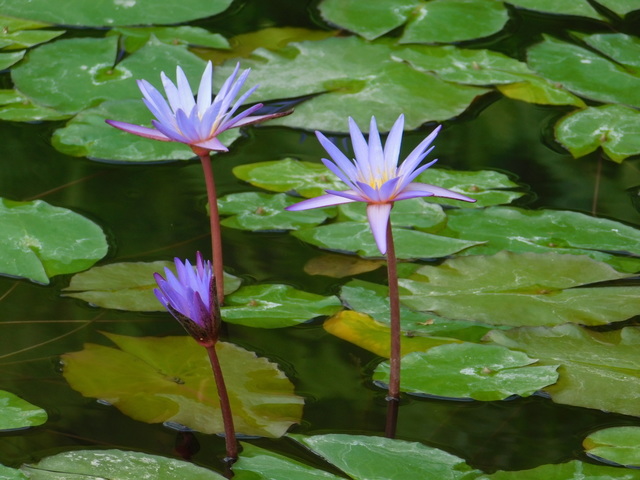 DSCN5579.JPG