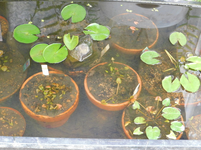 DSCN5660.JPG