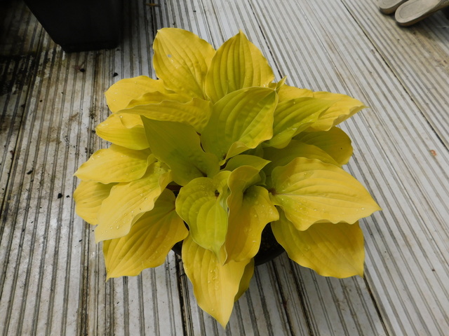 DSCN5668.JPG