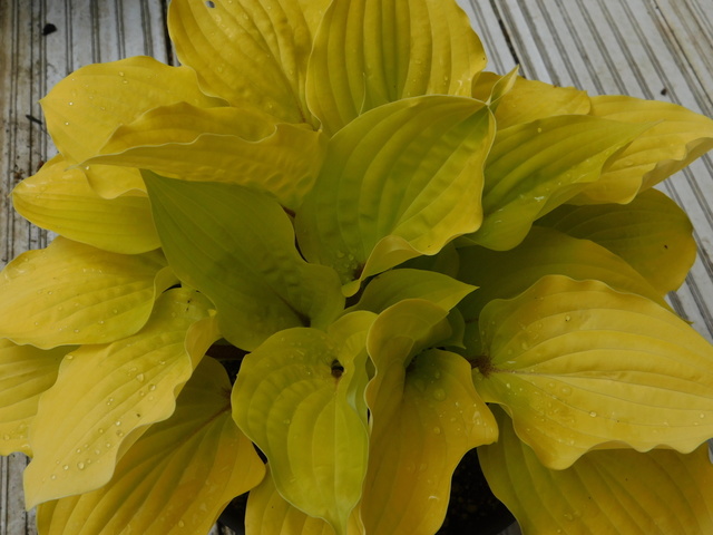 DSCN5670.JPG