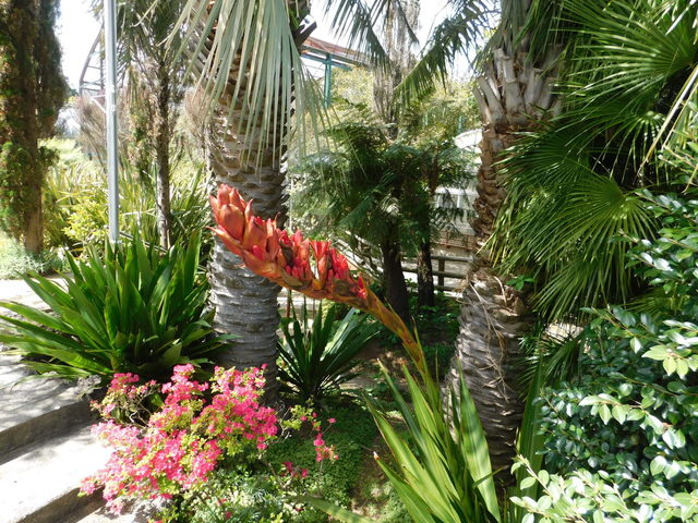 DSCN5678.JPG
