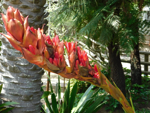DSCN5680.JPG