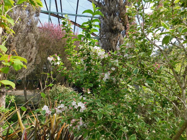 DSCN5751.JPG