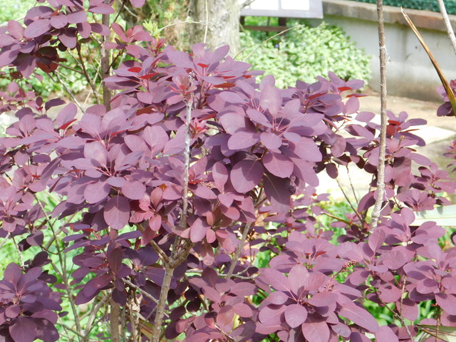 DSCN5756.JPG