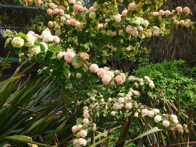 DSCN5758.JPG