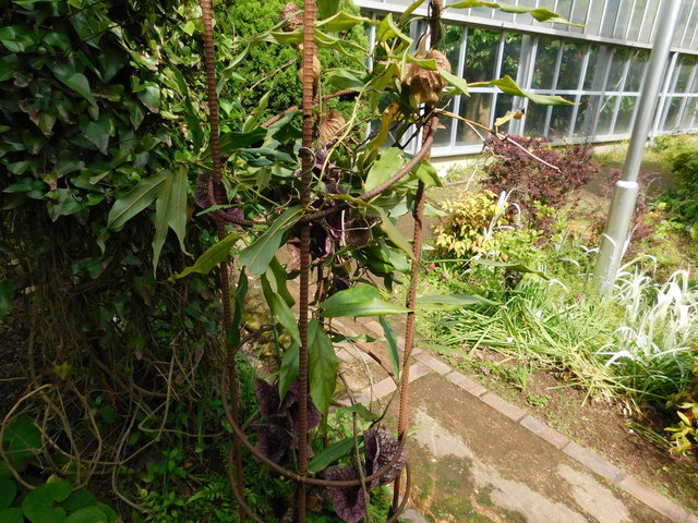 DSCN5760.JPG