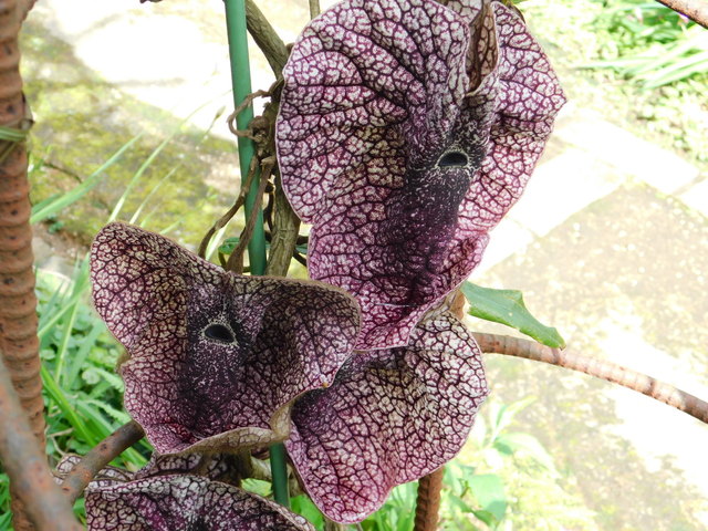 DSCN5762.JPG