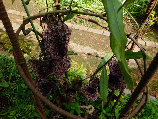 DSCN5763.JPG