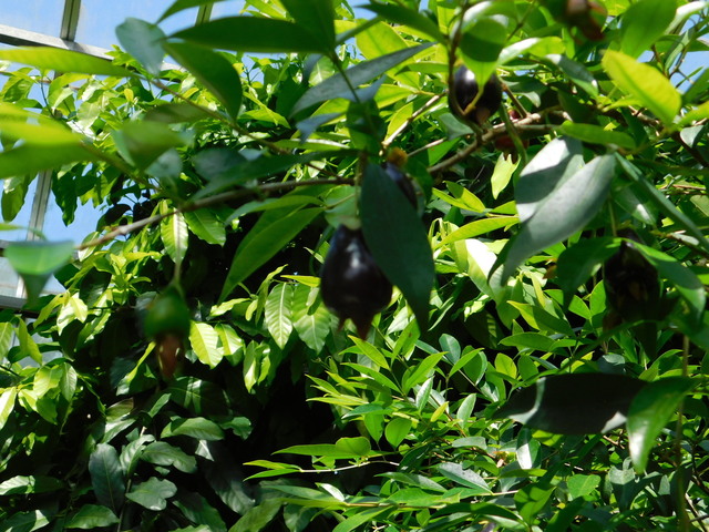 DSCN5778.JPG