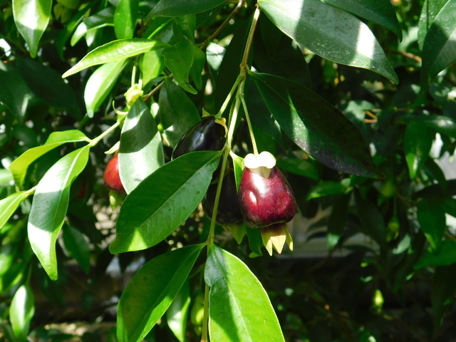 DSCN5779.JPG