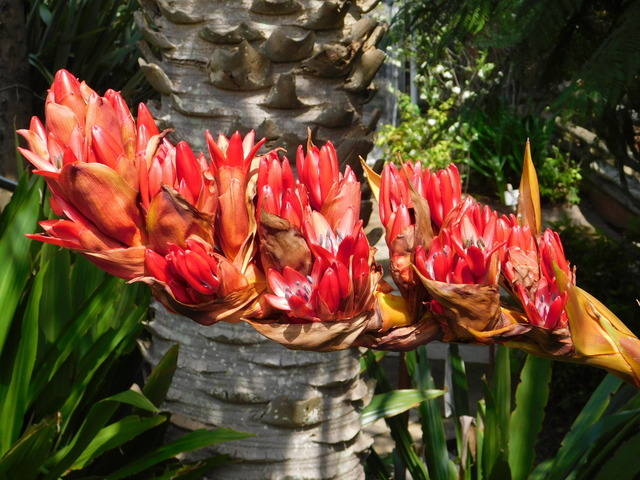 DSCN5786.JPG