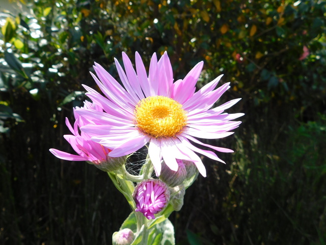 DSCN5820.JPG