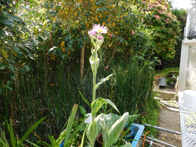 DSCN5822.JPG