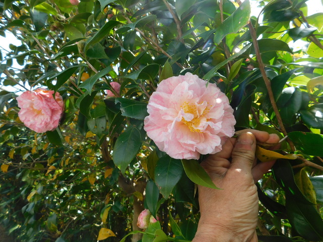 DSCN5823.JPG