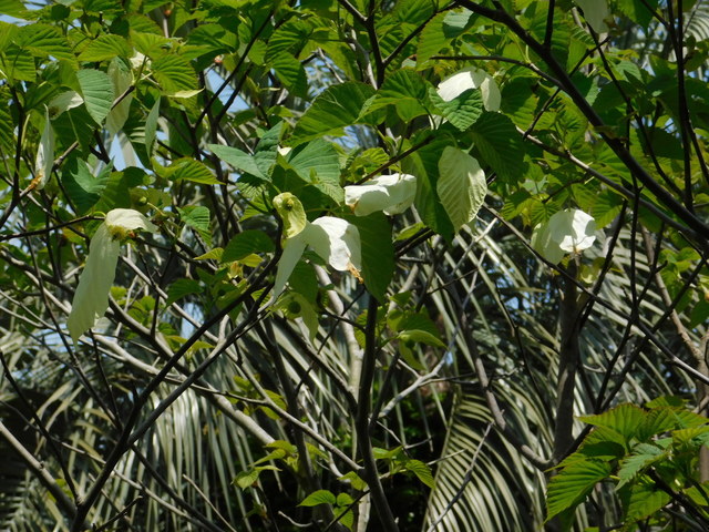 DSCN5826.JPG